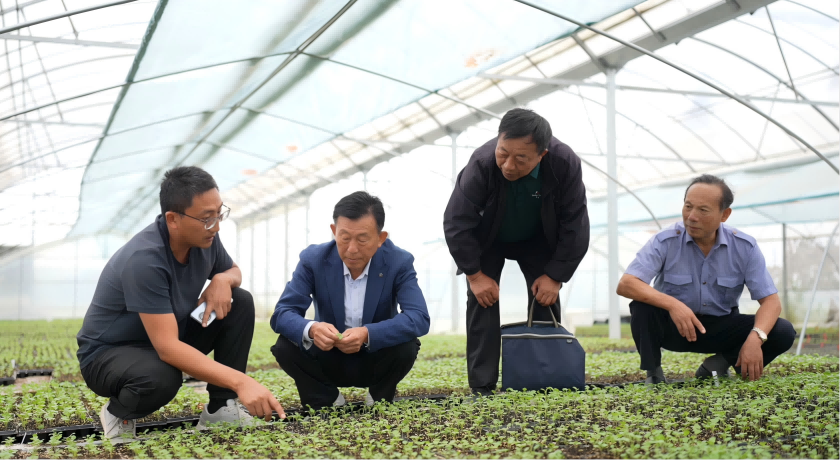 1765337496813136.png 南京市江宁区关工委“五老”在创业青年农民李林的农场中帮助查勘种苗培育情况(1).png