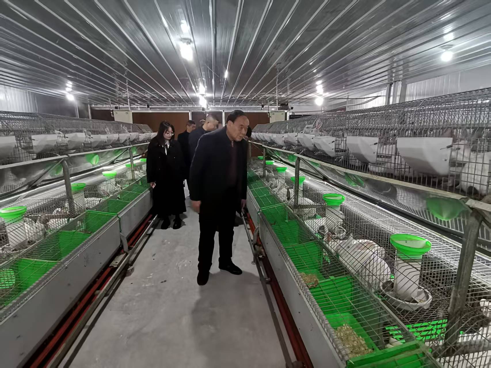 四川省自贡市富顺县关工委开展村集体经济肉兔养殖专题调研工作