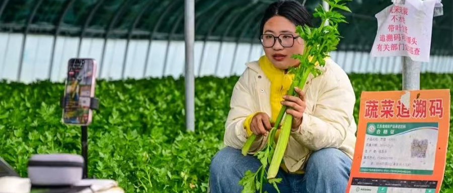 江苏省徐州市铜山区黄集镇关工委联手镇农技中心为“农产品”插上“云翅膀”