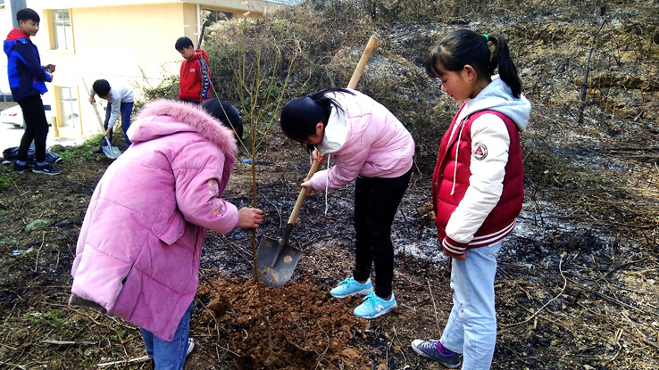 湖南省湘西州吉首市社塘坡学校关工委：童心“植”梦，绿意同行
