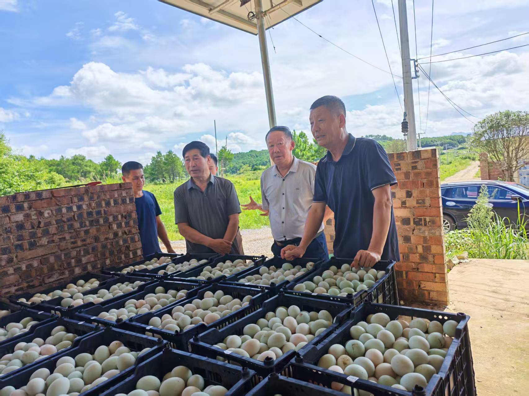 助力青年创业   赋能乡村振兴