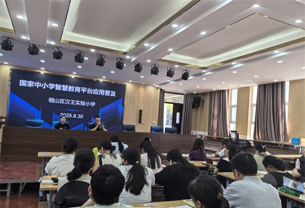 江苏省徐州市铜山区汉王实验小学关工委深耕国家中小学智慧教育平台应用，赋能课堂提质增效