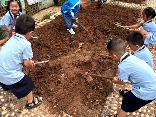 秋分播希望，童心护青苗——四川省凉山州宁南县机关幼儿园关工委开展二十四节气之“秋分”种植活动