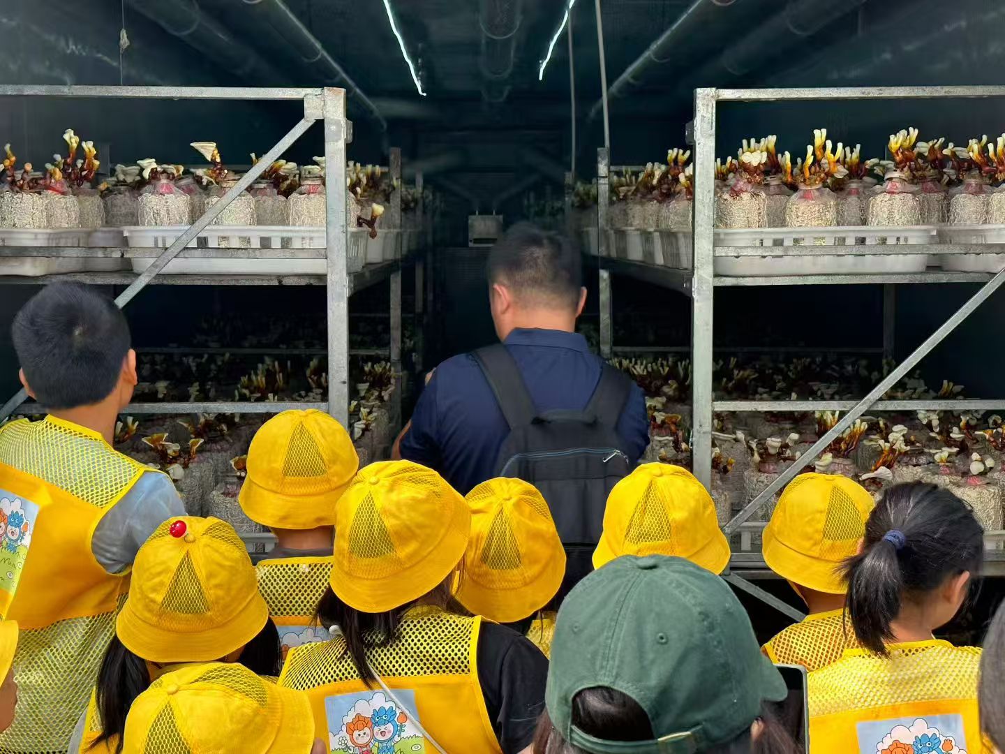 江苏省徐州市经济技术开发区徐庄镇来安村关工委：探索菌菇的奇妙生长记