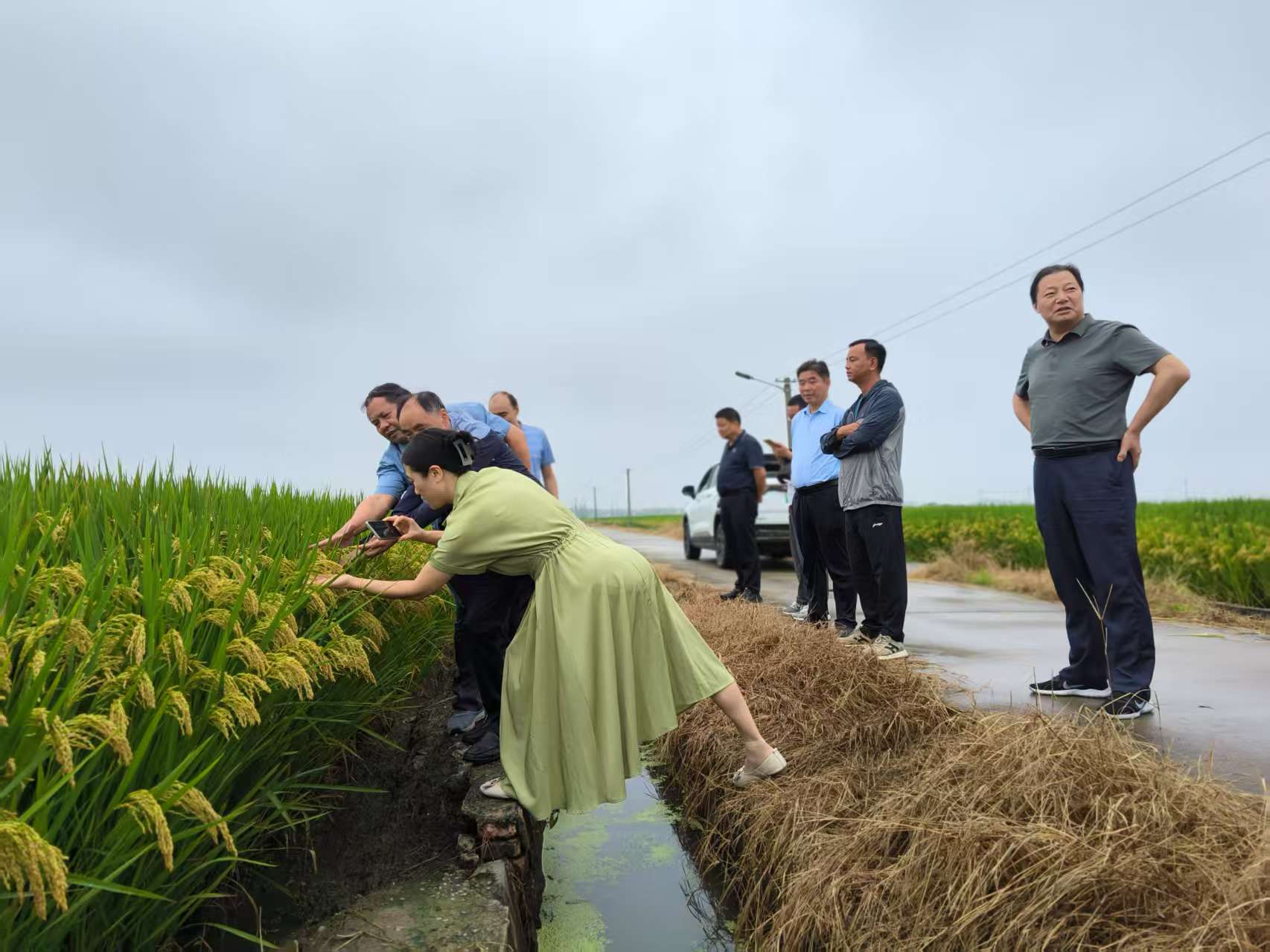 指导田管促增收，助力“青农”创好业——江苏省镇江市丹阳市关工委赴青年农民创业示范基地开展调研指导