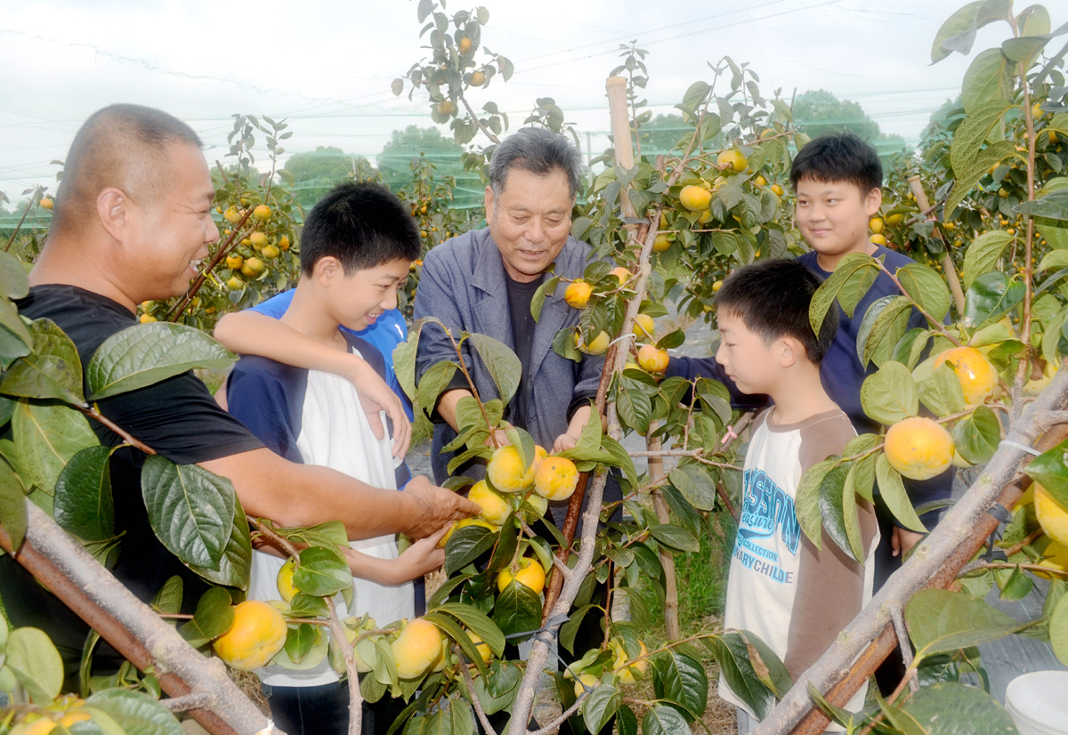 江苏省无锡市宜兴市杨巷小学的部分学生代表，走进了学校附近的“采露家庭合作社”，上了一堂生动的劳动实践课。