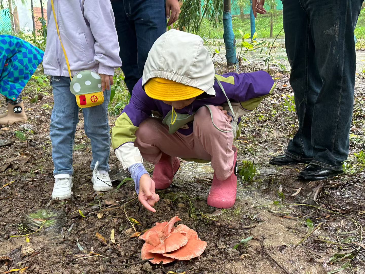 江苏省徐州经济技术开发区徐庄镇来安村关工委：雨后菇林寻“宝”记