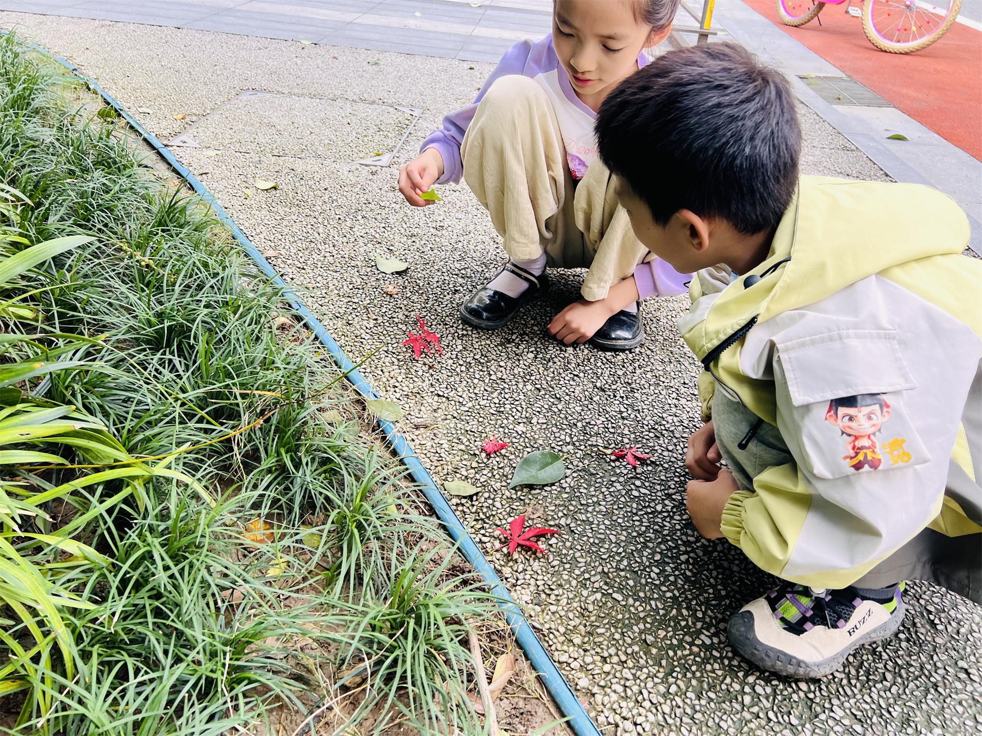 江苏省徐州市经济技术开发区徐庄镇来安村关工委：“拾叶识秋，童心成长”实践活动