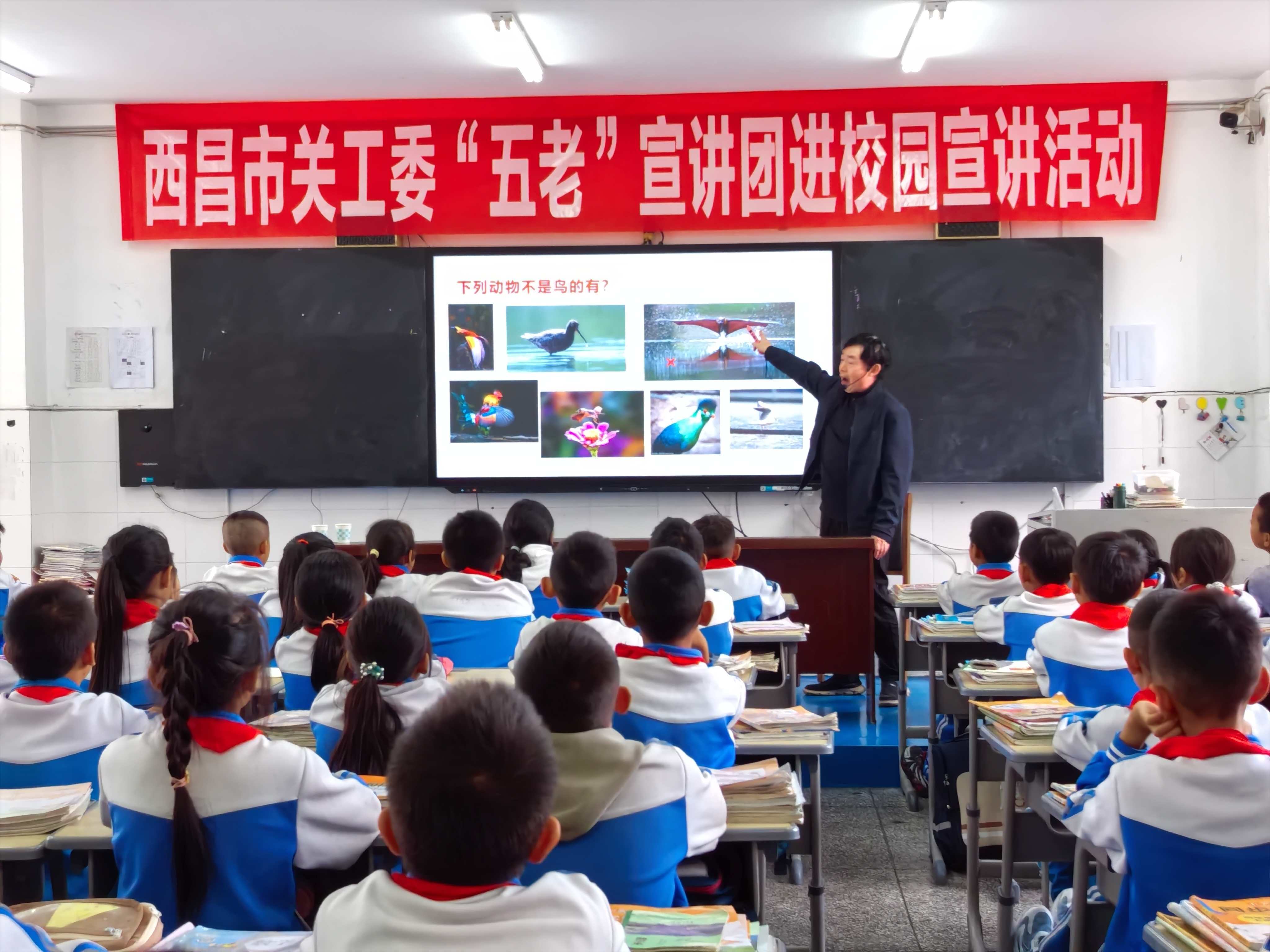 四川省凉山州西昌市关工委“五老”宣讲团 走进西昌八小开展鸟类知识科普宣讲