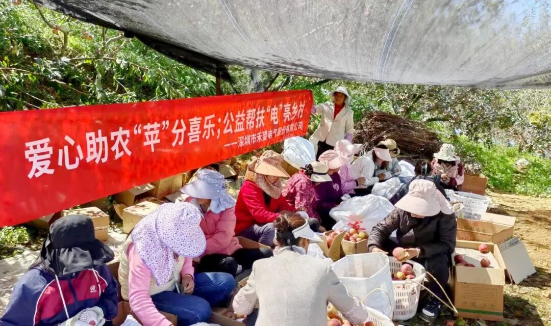 四川省凉山州昭觉县关工委：消费帮扶解农忧，“苹”分喜乐助振兴