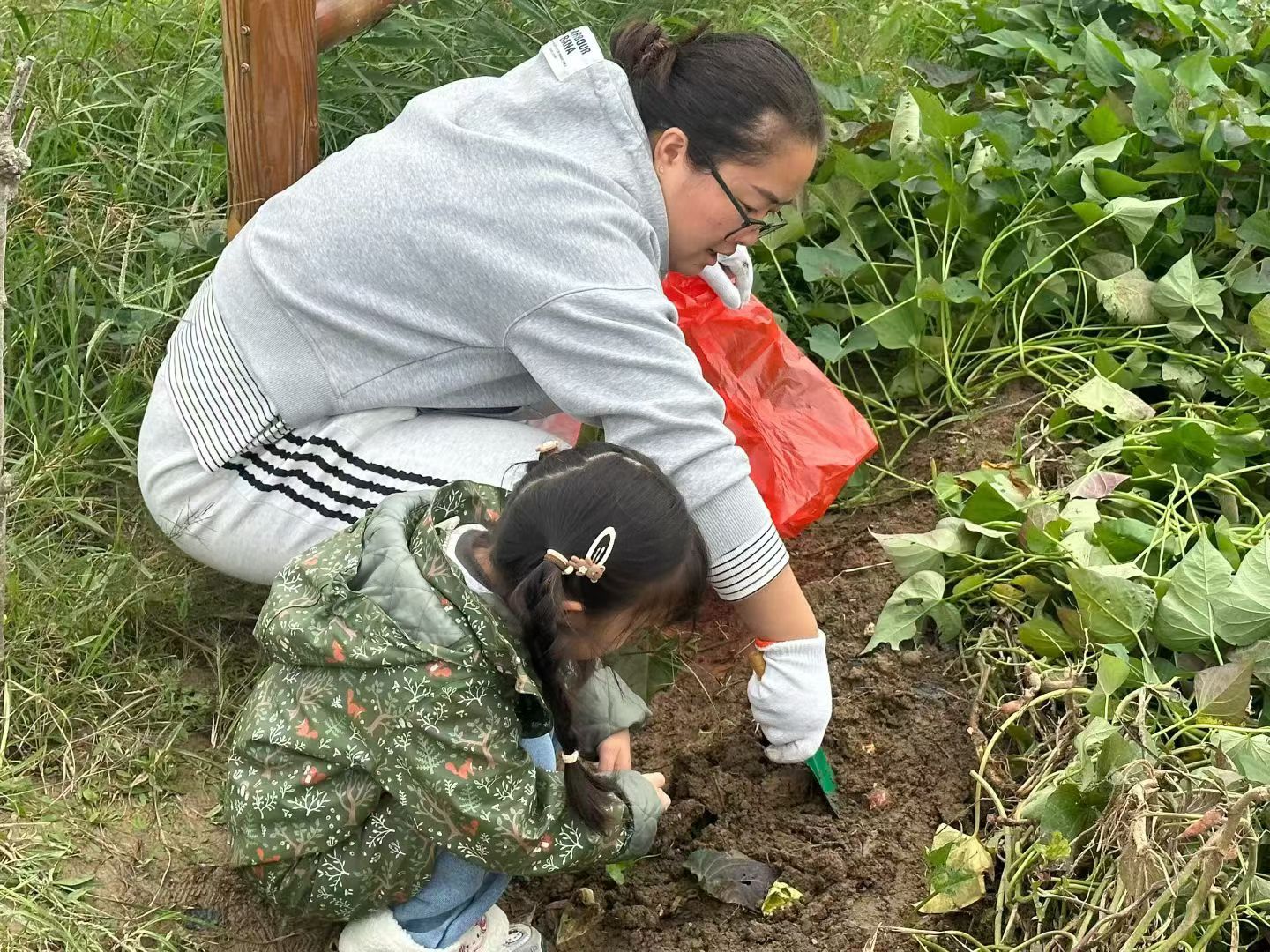 江苏省徐州市经济技术开发区徐庄镇来安村关工委：“乐享丰收，薯我快乐”亲子实践活动