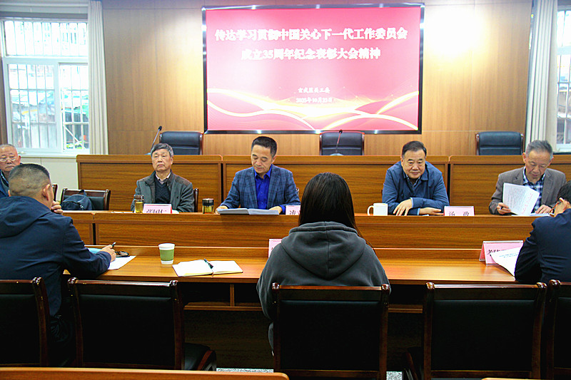 江苏省南京市玄武区贯彻落实中国关工委成立35周年表彰大会精神及市关工委有关会议精神