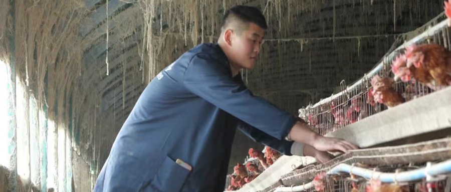 90后退伍军人，退役不褪色，乡村创奇迹——记江苏省徐州市铜山区张集镇关工委“科技宣讲团”团长、“蛋王”苗佳新