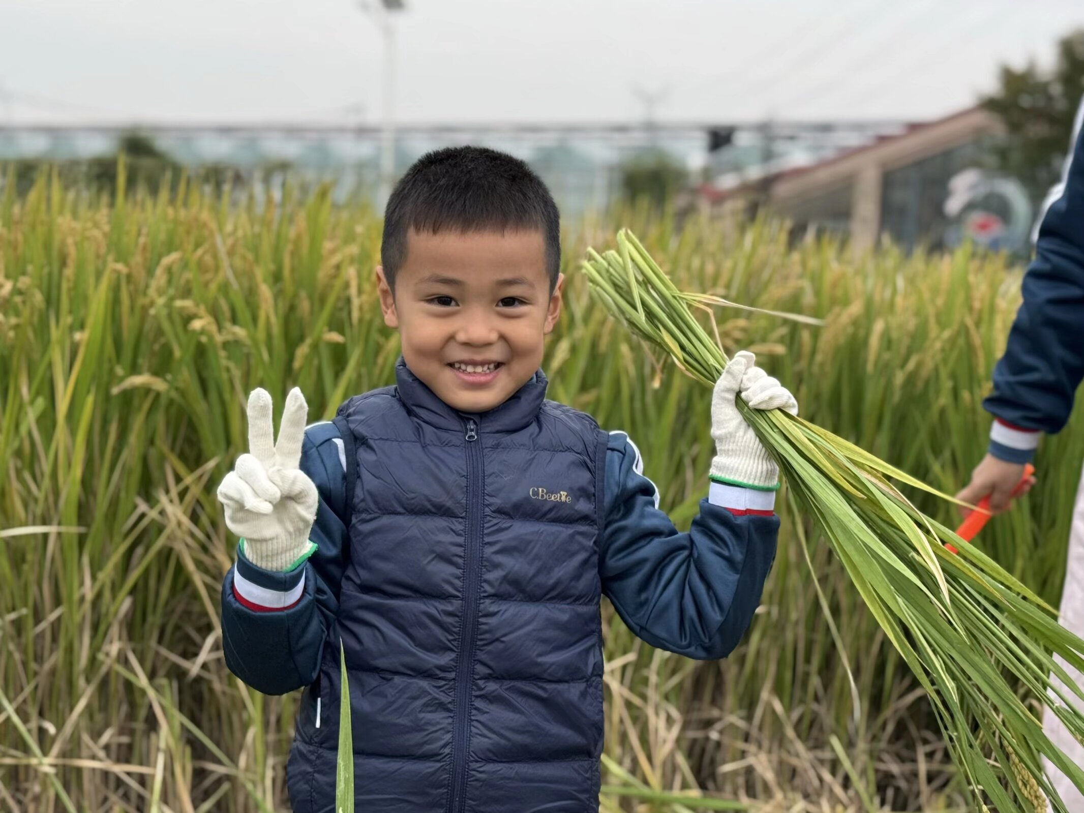 江苏省徐州市经开区徐庄镇周庄村关工委开展了“稻梦空间 金色童年”