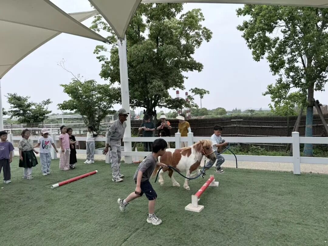 江苏省宜兴市都山小学关工委开展“探秘自然 守护家园”研学活动