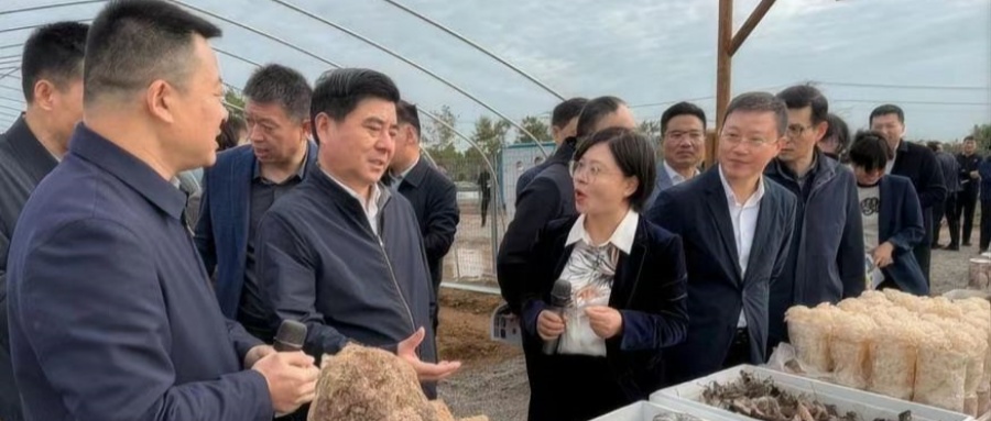 江苏省徐州市铜山区新区街道关工委优秀辅导员厉芳热心传授青年食用菌技术