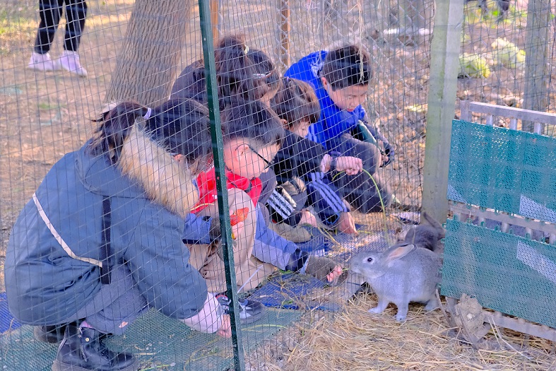 1704941133233976.jpg 6.jpg