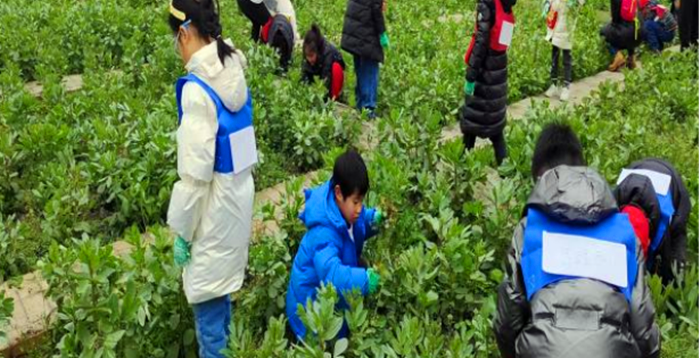 1707217290817429.png 图片4_副本.png