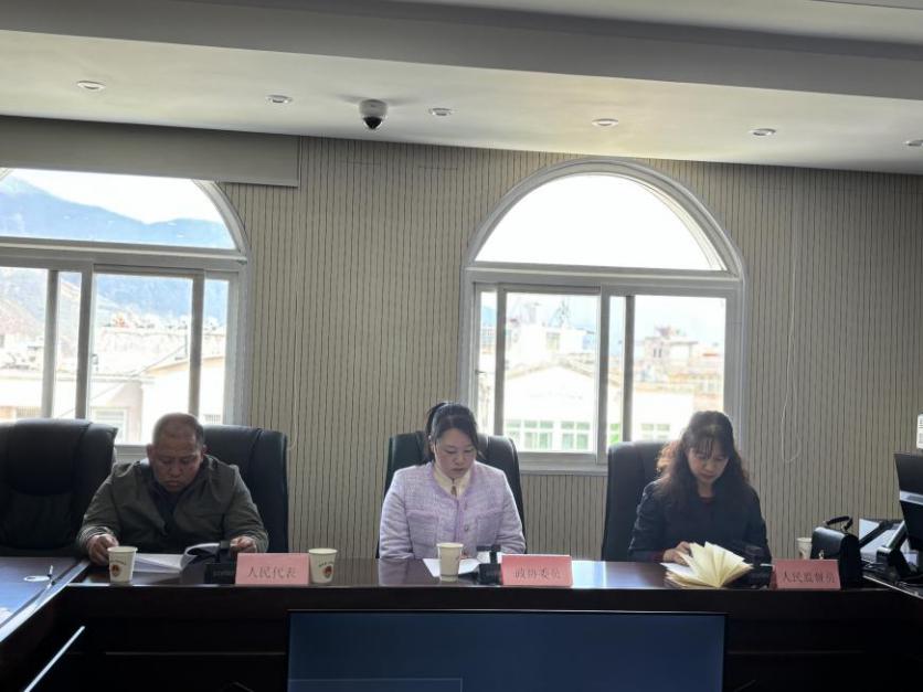 人民监督员、人大代表参会.jpg