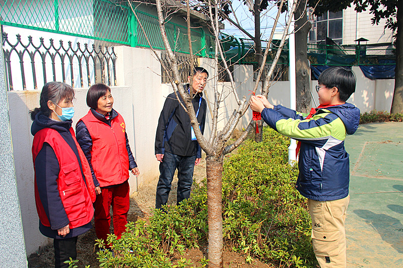 玄武湖街道关工委联合组织开展“老少添绿植希望，携手同行向未来”植树节主题活动(5).jpg