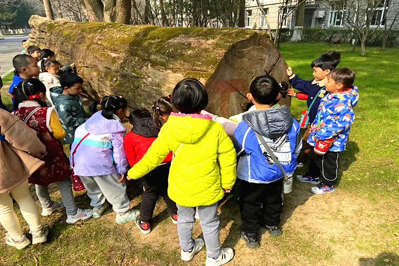 江苏省南京市玄武区锁三社区关工委开展“赓续红色精神，践行绿色传承”主题活动(3).jpg