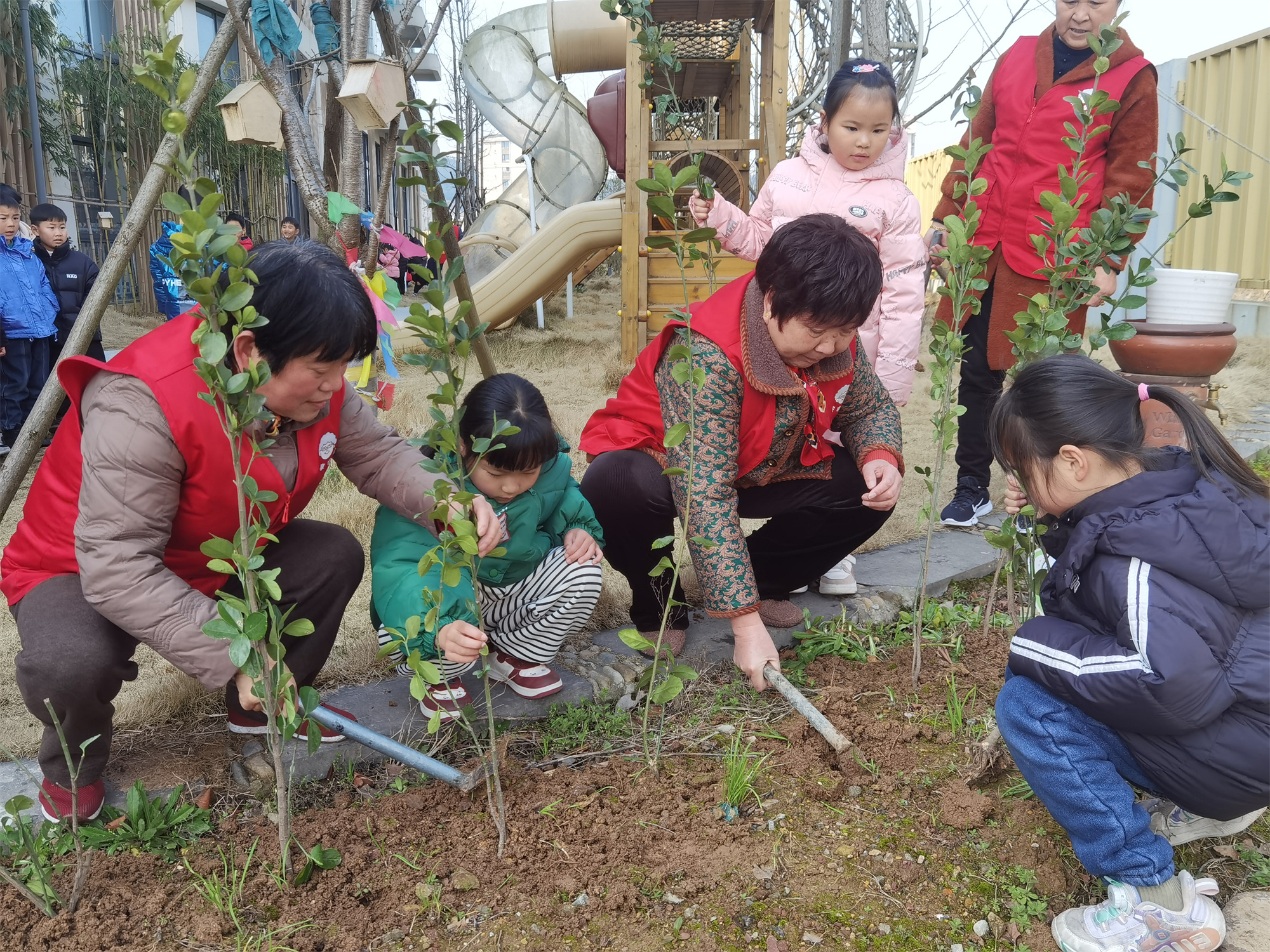 “植”此青绿，“树”你最棒1.jpg