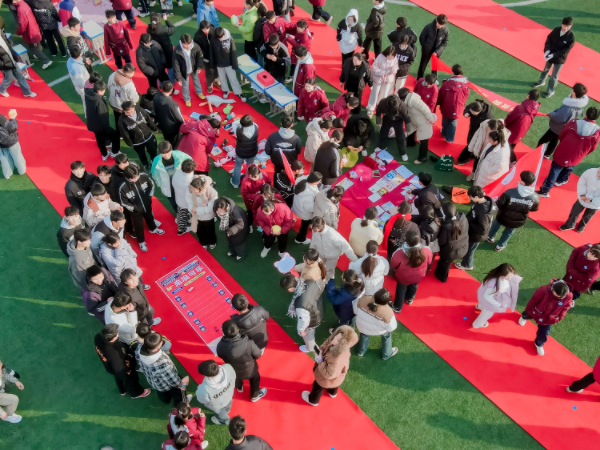 1735177516902317.png 下载.png