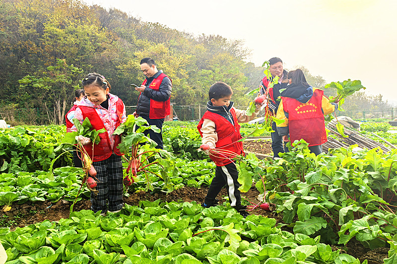 江苏省南京市栖霞区尧化街道尧辰社区关工委开展“冬日暖阳，收获成长”农耕研学活动(1).jpg