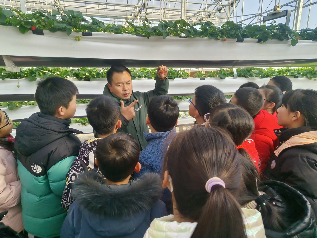 1737514634107848.jpg 20250117090340教师指导_副本.jpg