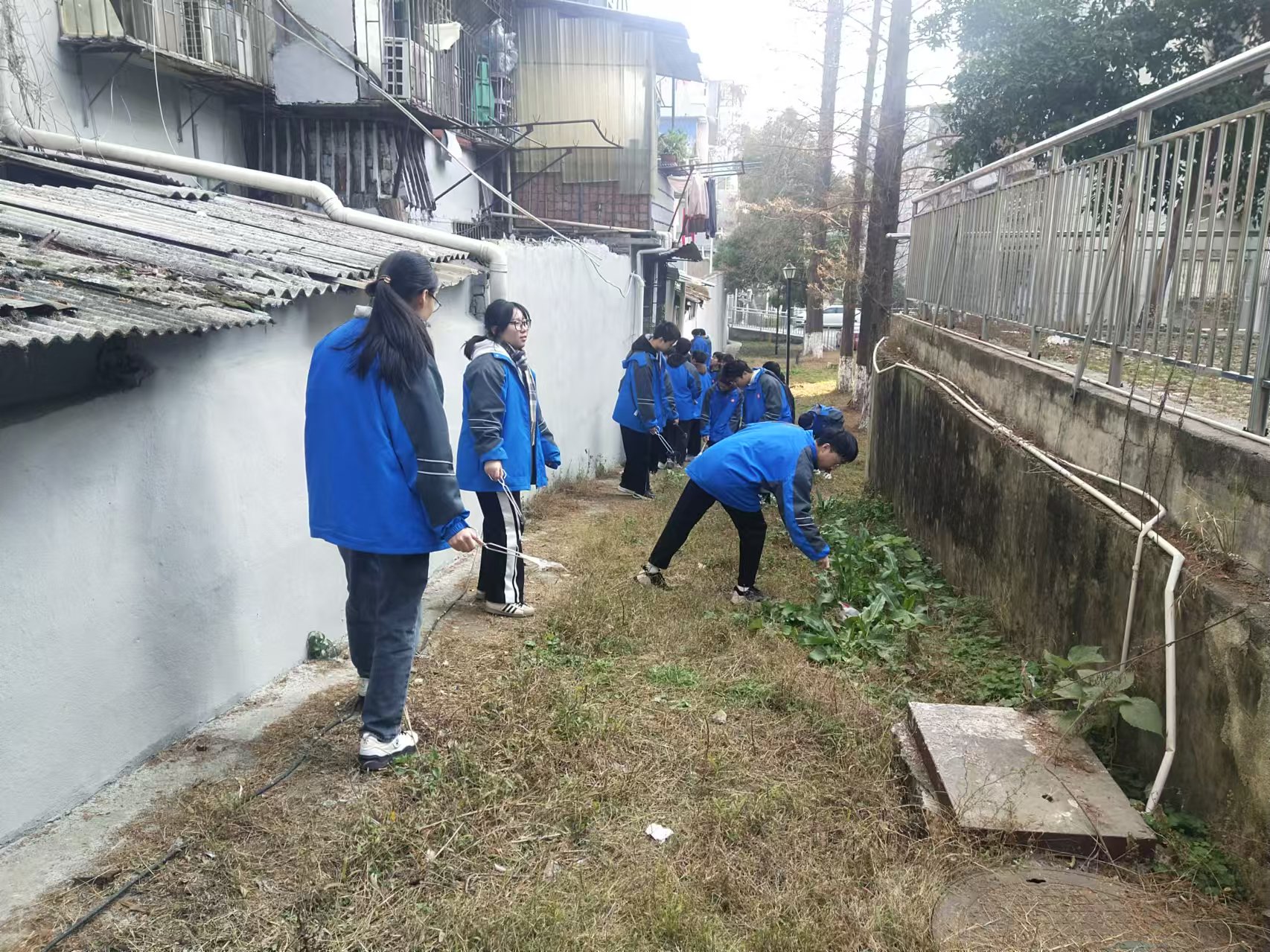 1737681099518694.jpg 微信图片_20250124091123.jpg