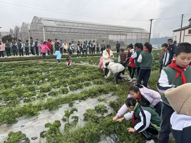 1739774208698892.jpg 002973c544647164f3adb55e6cab04ec.jpg