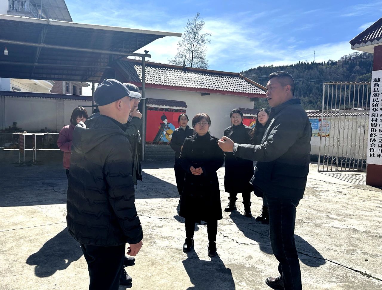 1740991252934886.jpg 2.jpg