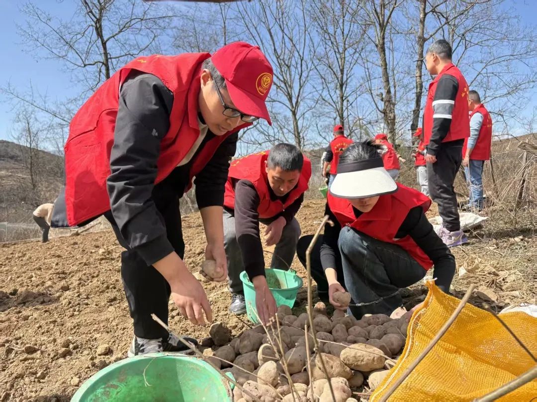 1741073312946830.jpg 640.jpg