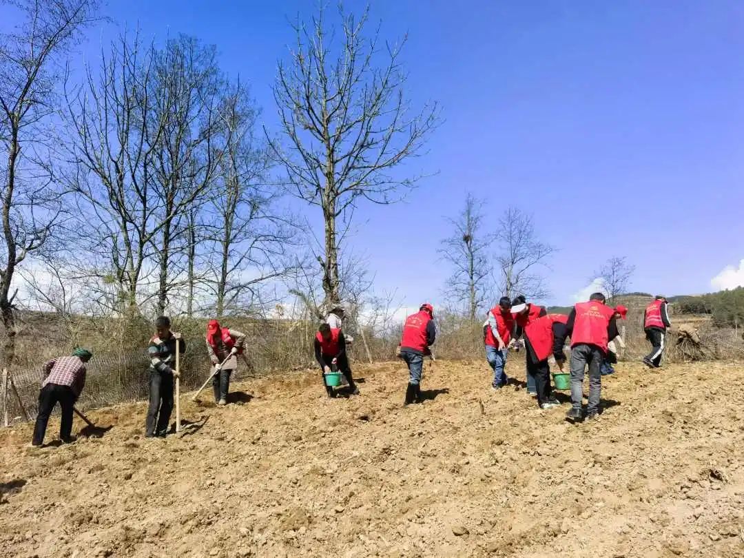 1741073327953367.jpg 640 (1).jpg