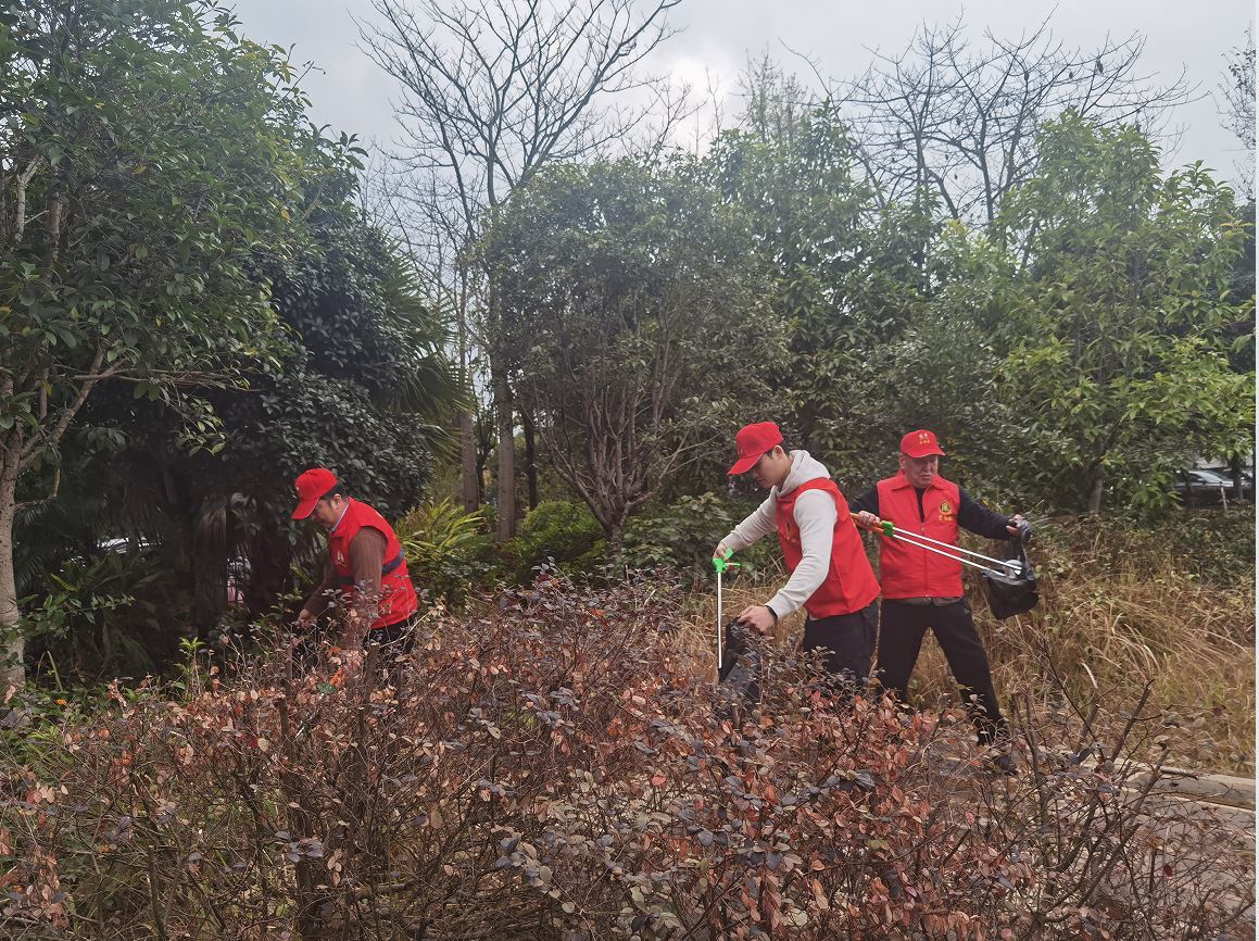 1741132632569374.jpg W020250303624188216570.jpg