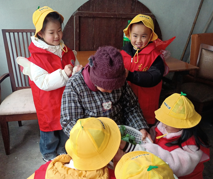 1741160317254569.png 1741160209120.png