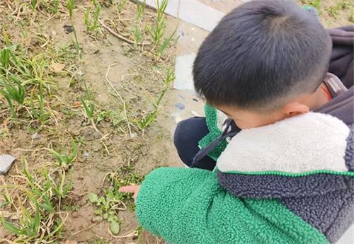 1741223019601014.jpg 7429615145b55e07ce2cf7e20fada535_看图王.jpg