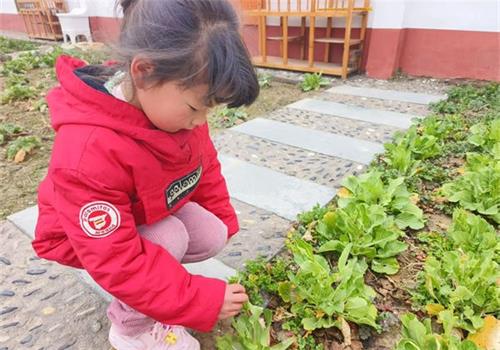 1741223035256857.jpg eca9d6657ca31194acb457f66d635dcc_看图王.jpg