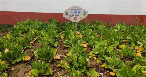 1741223046545871.jpg 1c34a857a18fb24568692d91b09bc9f8_看图王.jpg