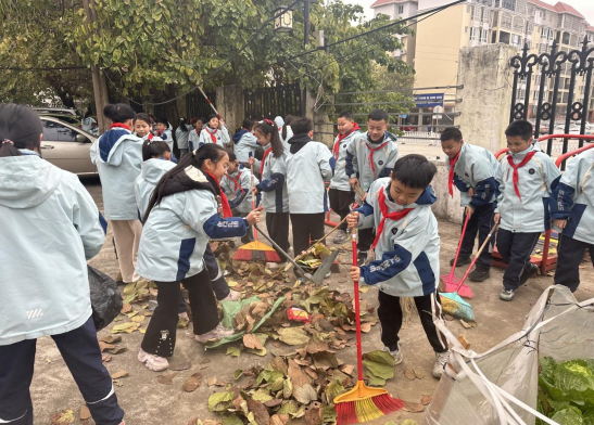 1741225315887214.jpg 1741225288826.jpg