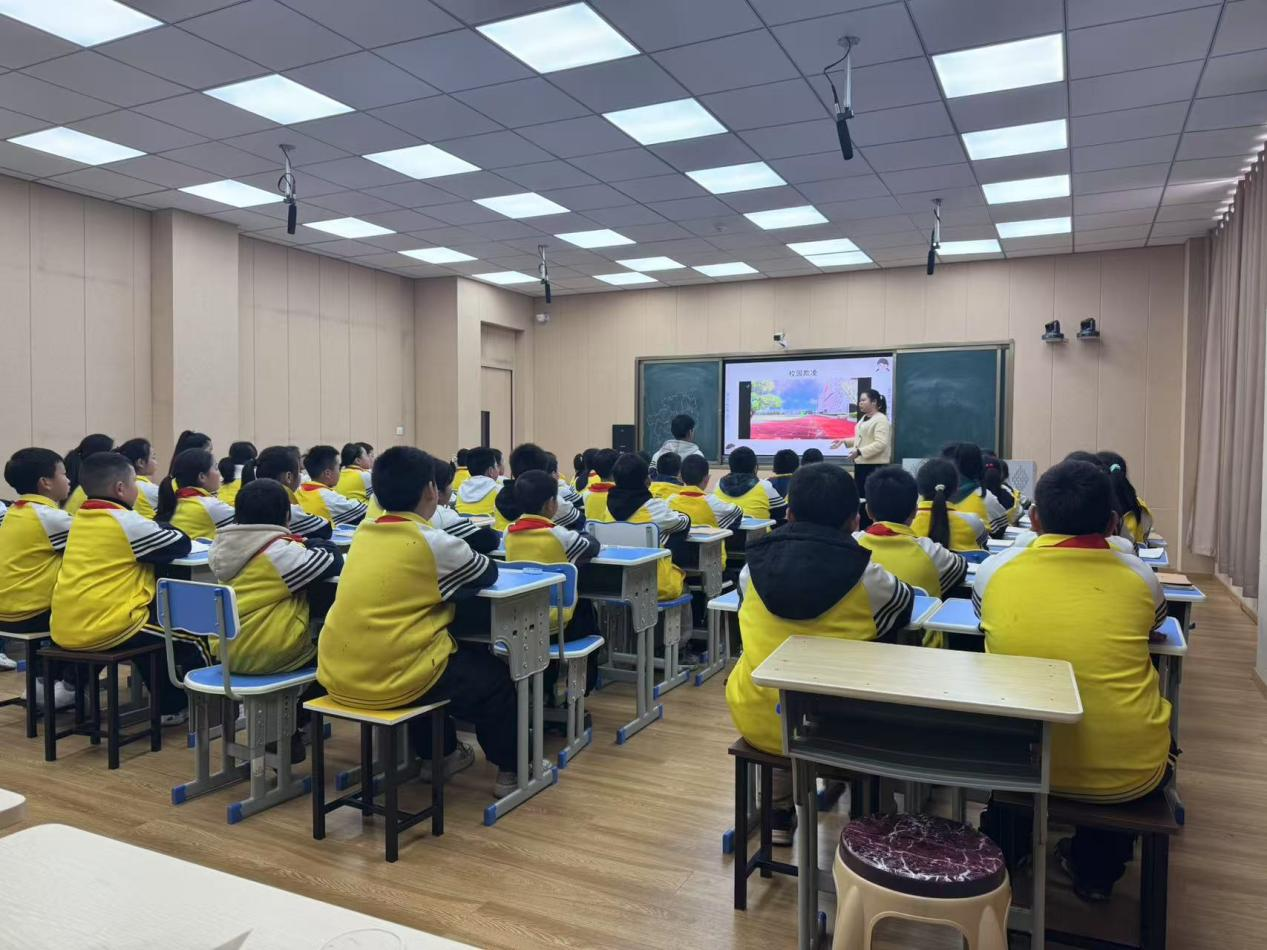 1741230117490328.png 图片1.png