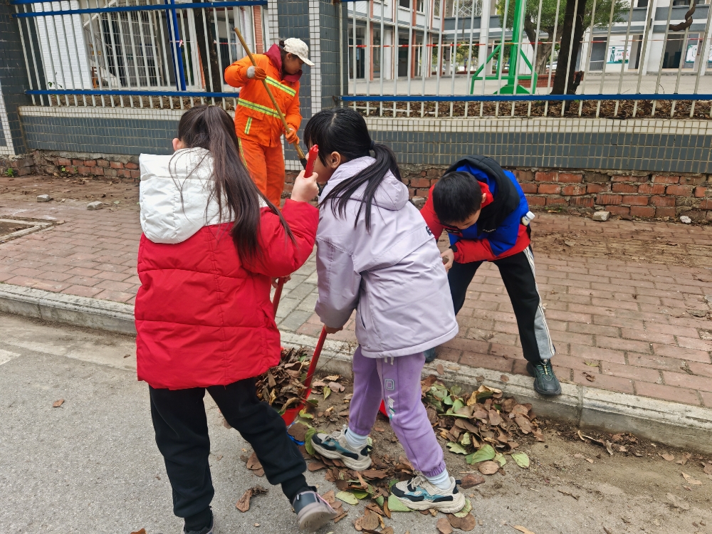 1741256048562004.jpg IMG_20250304_152524.jpg