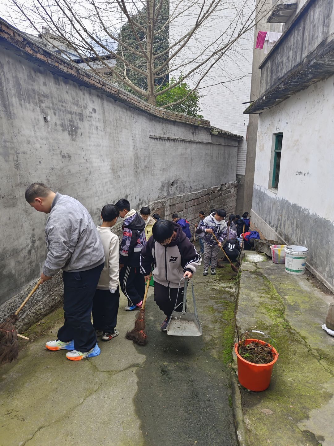 1741567129867684.jpg 3.jpg