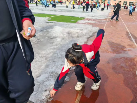 1741567426857295.png 3.png