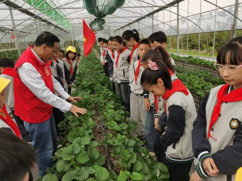 1741755174579703.png 老干部局3.png