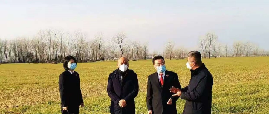 1741782955344934.jpg 001.jpg