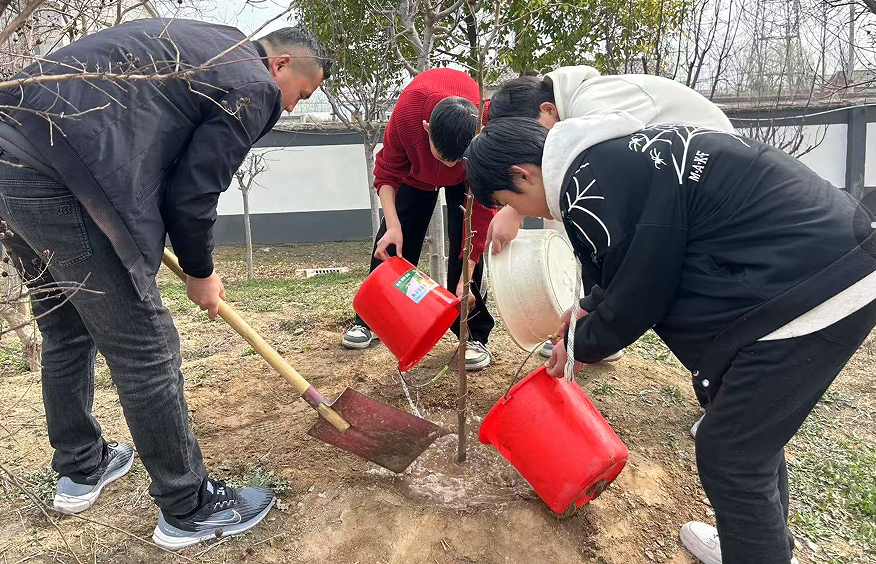 1741911132156343.png eb59af3307ced40bbc180f4319ac20c.png