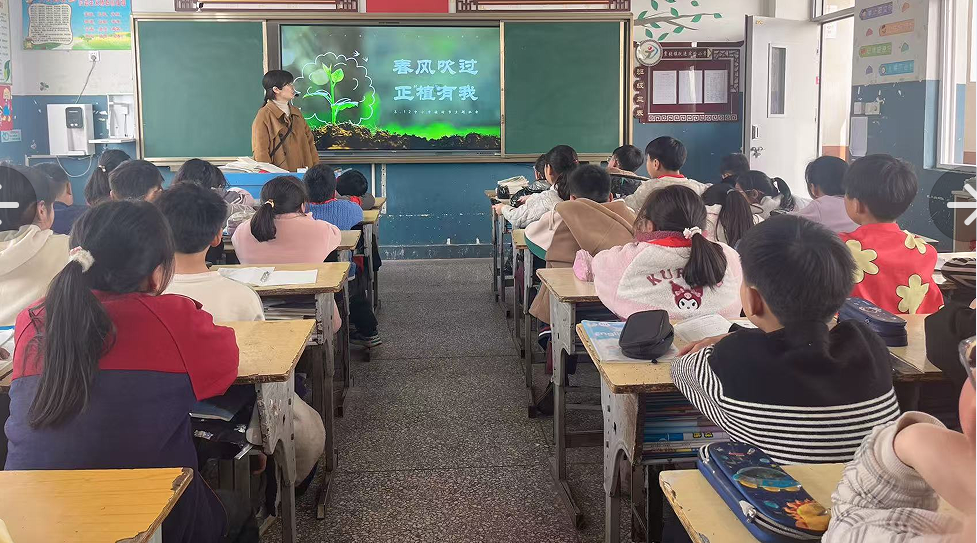 1741911212170391.png 31db447007e91748b8c287039c20fd9.png