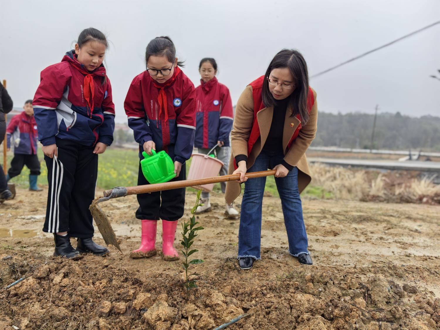 1742211155860849.jpg 222.jpg