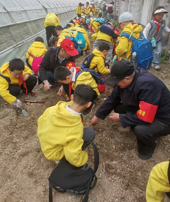 1743062139354668.png 5108f59f4496a18dcde687392c20d19.png